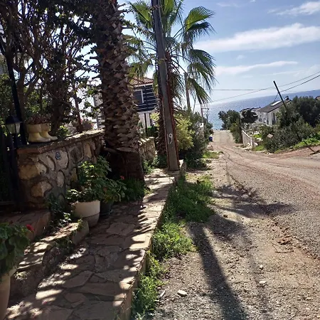 فيلة Metehan دمرة