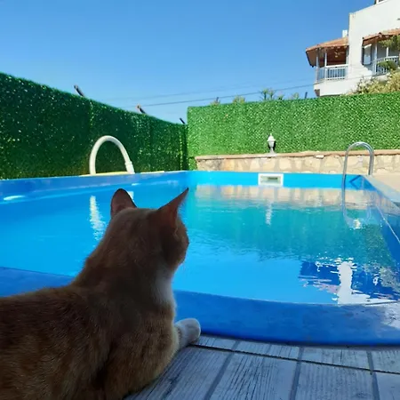 Metehan * دمرة